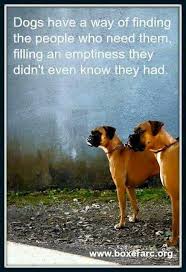 3 3 3 Boxer Dogs Brindle Dog Quotes Love Boxer Dogs