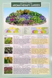 Aromatherapy Garden Chart Gardeningplansflower Country Garden Landscaping Plants Garden Planning