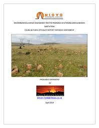 Image result for Aspidoglossum biflorum