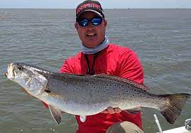 Captain Brent Roy Of Venice Charters Caught This Huge Speckled Trout Of 8 25 Pounds And 30 Inches In Length On Egret B Kayak Fishing Saltwater Fishing Kayaking