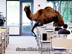The most common beast of burden material is ceramic. Need Help Through Hump Day These Camel Jokes Have Your Back