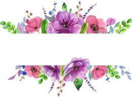 Delicate Watercolor Frame Floral Wreaths Illustration Flower Background Wallpaper Floral Border Design