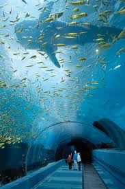 Keep The Whole Family Happy With These 5 Kid Friendly Things To Do In Atlanta Places To Travel Georgia Aquarium Places To Go