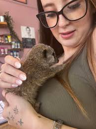 Beautiful South Pamper Bar