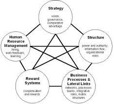 Galbraith Star Model Of Organisational Design Wikimedia Cc Organizational Design Design Thinking Service Design