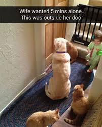 30 Funny Memes For Kids Of All Ages Everythingmom Let's enjoy these memes now!
