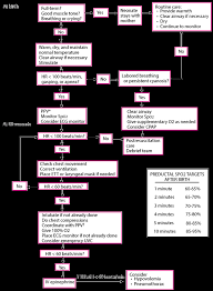 Cardiopulmonary Resuscitation Cpr In Infants And Children