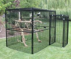 Outdoor Walk In Bird Aviary For Sale Rectangle Walk In Bird Aviary Ultimate Package Howtobuildanaviary With Images Bird Aviary Large Bird Cages Pet Bird Cage