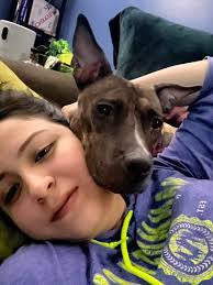 We are looking for Max, can you help us find him? Please, share! Thank you! 