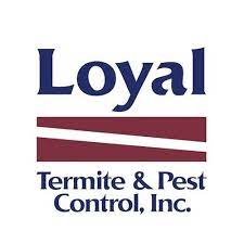 Bed bug infestations continue to be an issue for property owners and managers in richmond as well as throughout virginia and the entire united states. Loyal Termite And Pest Control Home Facebook
