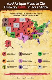 Map Shows The Animal Most Likely To Kill You In Each State Deadly Animals Map Animals