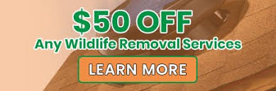 Explore the site now to learn about pest control jobs. Pest Control Company In Arlington Va Animal Control Home Insulation In Alexandria Fredericksburg Va