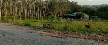 Disusun mengikut turutan keluasan tanah 3 ekar untuk dijual tanah di pulau pangkor untuk dijual harga: Tapak Rumah Di Tobiar Jual Beli Tanah Murah Kedah Facebook