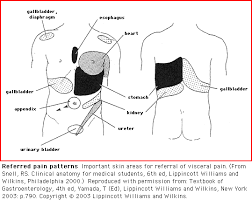 Uptodate Differential Diagnosis Of Abdominal Pain In Adults