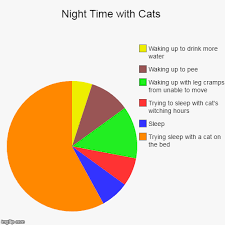 10 funny pie charts about your cat funny pie charts pie