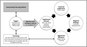 This guide offers parents a comprehensive look at problem behavior. Exposure Based Cognitive Behavioral Therapy For Disruptive Mood Dysregulation Disorder An Evidence Based Case Study Sciencedirect