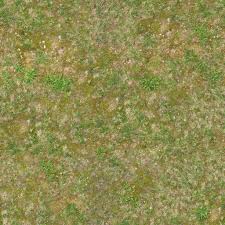 Texture Jpg Ground Grass Seamless Grass Seamless Grass Textures Terrain Texture
