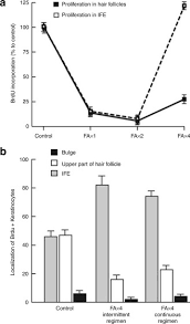 The most common areas of infected hair follicle are face, scalp, and body areas which are rubbed by clothing like thighs and groin 2. Epithelial Cells In The Hair Follicle Bulge Do Not Contribute To Epidermal Regeneration After Glucocorticoid Induced Cutaneous Atrophy Sciencedirect