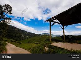 Best indian restaurants in cameron highlands, pahang: Cameron Highlands Image Photo Free Trial Bigstock