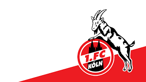 Fc köln hat konsequenzen aus einer umstrittenen personalie gezogen: 1 Fc Koln Bilder
