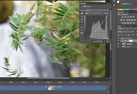 How To Edit Video In Photoshop Cc And Cs6 Photoshop Video Editing Video