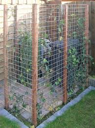 Gardenpergoladiyvideos 12x24 Pergola Plane Smallpergolaideasvideosgazebo Pergola Terraza Atico Pergola Terrasse Vide In 2020 Pergola Plans Diy Garden Pergola