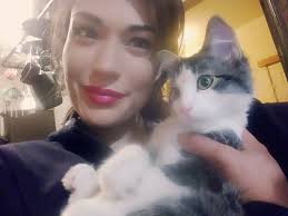 Lost cat near North Medford High School