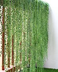 Indoorplants Hangingplants Vertikaler Garten Sichtschutzzaun Sichtschutz Im Freien