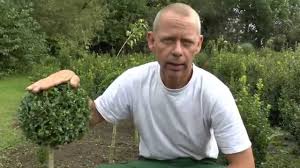Zum einen davon, welcher schnitt durchgeführt werden soll und zum anderen, um welche sorte obst es sich handelt. Buchsbaum Buxus Stammchen Schneiden Youtube