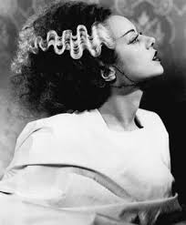 Skunk Stripe Tv Tropes Bride Of Frankenstein Frankenstein Wife Frankenstein