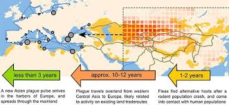 Wie kam es zu dieser verheerenden seuche? Der Schwarze Tod Kam Aus Asien Mehrfach Klimaschwankungen Brachten Pesterreger Immer Wieder Nach Europa Scinexx De