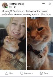 I'm just wondering if there are any boutiques hiring besides mini me  boutique?