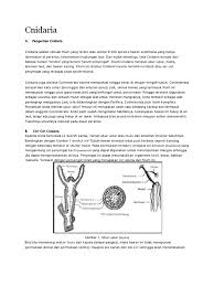 Check spelling or type a new query. Cnidaria