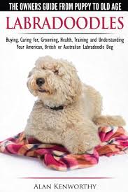 Check out our metal dining table legs selection for the very best in unique or custom, handmade pieces from our kitchen & dining tables shops. Labradoodles The Owners Guide From Puppy To Old Age For Your American British Or Australian Labradoodle Dog Paperback Walmart Com Walmart Com