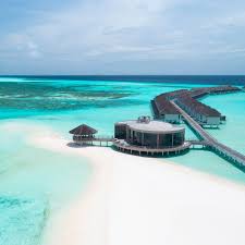 David Kosmos Smith (@davidkosmos) · Instagram 照片和视频