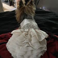 Denim Dog Harness Dog Clothes Etsy Dog Wedding Dress Dog Dresses Denim Dog