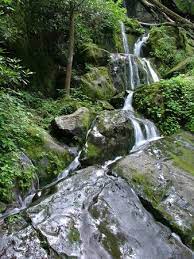 There is no shortage of opportunities for landscape photographers within the park. Unique Waterfall Review Of Place Of A Thousand Drips Great Smoky Mountains National Park Tn Tripadvisor