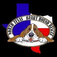Basset hound · balch springs, tx. North Texas Basset Hound Rescue Reviews And Ratings Grapevine Tx Donate Volunteer Review Greatnonprofits