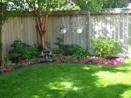 Dsc00548 Privacy Fence Landscaping Backyard Landscaping Designs Fence Landscaping