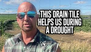 Evaluating the Need for Biologicals in Farming