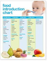 Baby Bullet Baby Food Guide Making Baby Food Baby First