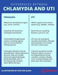 Image result for chlamydia symptoms