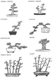 How to create a maple (acer) bonsai tree in 20 mins by peter chan.bonsai are now a part of our lives. Bonsai