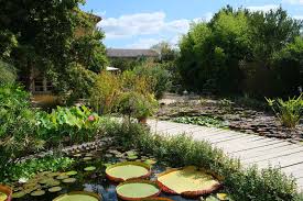 les jardins d eau de carsac aillac a water garden in the dordogne