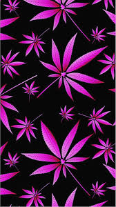 Smoking background pattern marijuana leaves vector leaf hemp weed background pattern vector pattern of cannabis or marijuana leaves ganja pattern gotta patti weed wallpaper image smoker weed bud marijuana. Weed Wallpaper Iphone Kolpaper Awesome Free Hd Wallpapers