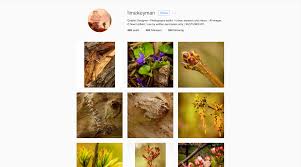 11 june at 12:26 ·. 17 Talented Macro Photographers To Follow On Instagram B H Explora