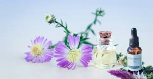 Https Xn Ana Sant I1a Fr Quelle Huile Essentielle Pour Ma Peau Et Recette Dune Huile De Beaute Pour Le Visage