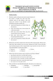 Soal olimpiade sains pusbindik tk/sd kecamatan cianjur tahun 2016 bidang ipa 6 17. Pin Di Soal Osn Sains