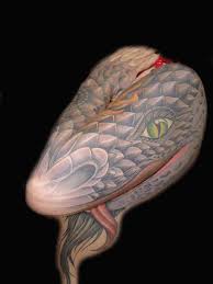 While a full sleeve covers the entire arm, and a half sleeve can cover either the upper or lower arm. 27 Themed Tattoo Sleeves That Are Basically Works Of Art