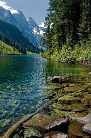 Download nature hd wallpapers, desktop backgrounds available in various resolutions to suit your computer desktop, iphone / ipad or android™ device. Top Nature Wallpaper Hd For Phone Hd Download Wallpapers Book Your 1 Source For Free Download Hd 4k High Quality Wallpapers